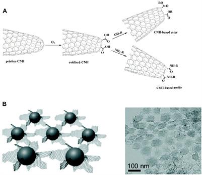 Nanostructured carbon electrocatalysts for clean energy conversion and storage: A mini review on the structural impact